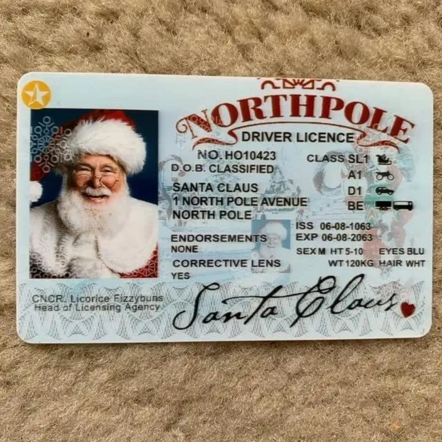 Santa Flying Licence Card