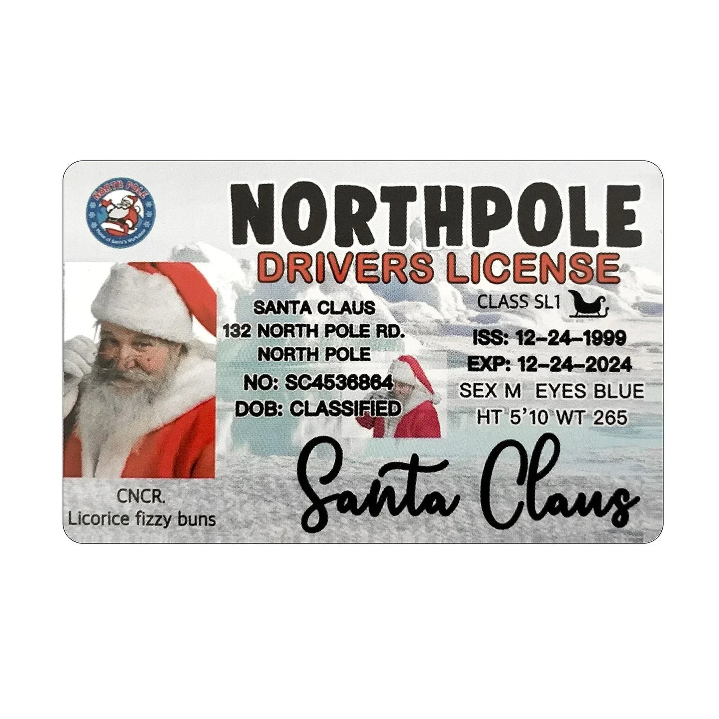Santa Flying Licence Card