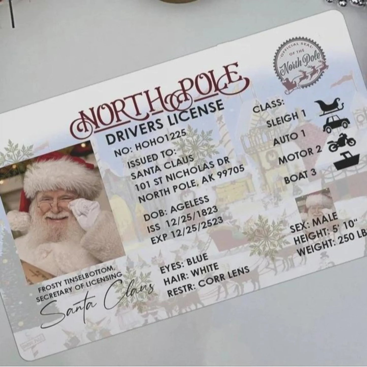 Santa Flying Licence Card